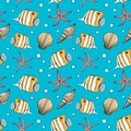 Tropical fish, seashell and starfish vector seamless pattern. Hand drawn underwater illustration. Copperband