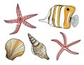 Tropical fish, seashell and starfish vector set. Hand drawn tropical underwater marine elements. Cartoon Copperband