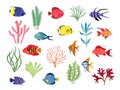 Tropical fish and seaweeds isolated on white. Big vector aquarium set