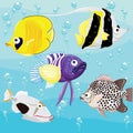 Tropical Fish Set Royalty Free Stock Photo