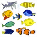 Tropical fish Royalty Free Stock Photo