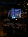 Tropical Fish Tank, Rain Forest Cafe`, Disney Springs, Orlando, Florida