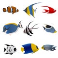 Tropical fish vector Royalty Free Stock Photo