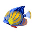 Tropical fish vector icon.Cartoon vector icon isolated on white background tropical fish. Royalty Free Stock Photo