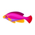 Tropical fish vector icon.Cartoon vector icon isolated on white background tropical fish. Royalty Free Stock Photo
