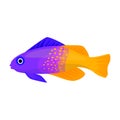 Tropical fish vector icon.Cartoon vector icon isolated on white background tropical fish. Royalty Free Stock Photo