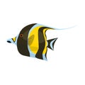 Tropical fish vector icon.Cartoon vector icon isolated on white background tropical fish. Royalty Free Stock Photo