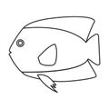 Tropical fish vector outline icon. Vector illustration exotic aunafish on white background. Isolated outline Royalty Free Stock Photo