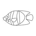 Tropical fish vector outline icon. Vector illustration exotic aunafish on white background. Isolated outline Royalty Free Stock Photo