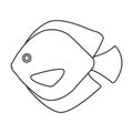 Tropical fish vector outline icon. Vector illustration exotic aunafish on white background. Isolated outline Royalty Free Stock Photo