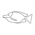 Tropical fish vector outline icon. Vector illustration exotic aunafish on white background. Isolated outline Royalty Free Stock Photo