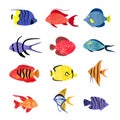 Tropical fish vector set. Coral reef watercolor collection of colorful sea fish Royalty Free Stock Photo