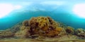 Coral reef and tropical fish underwater. Philippines. Virtual Reality 360 Royalty Free Stock Photo