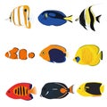 Tropical Fishes Set Royalty Free Stock Photo
