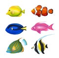 Tropical Fishes Set Royalty Free Stock Photo