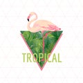 Tropical Flamingo Bird Background. Summer Design. T-shirt Fashion Graphic. Exotic.