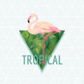 Tropical Flamingo Bird Background. Summer Design. T-shirt Fashion Graphic. Exotic. Royalty Free Stock Photo