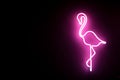 Tropical Flamingo bird in purple neon light on black background