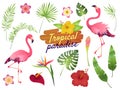 Tropical flamingos. Pink flamingo jungle flowers palm leaves, nature, summer beach, cute exotic plants flora cartoon