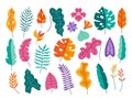 Tropical flora elements. Leaves and flowers of tropical plants isolated flat vector illustration set