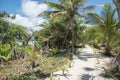 Tropical Flora Path: Mystery Island