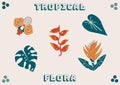 Tropical flora plants