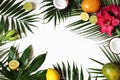 Tropical floral and exotic fruit frame, web banner. Coconut, lemons, mango and amaryllis flowers on lush plam and aralia