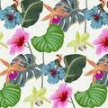 Tropical floral and leaves seamless pattern background with exotic Hibiscus Royalty Free Stock Photo