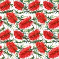 Tropical floral pattern with red exotic flowers callistemon