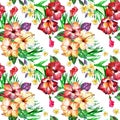 Tropical floral pattern. Watercolor painted flowers plumeria. White exotic flower frangipani repeating backdrop. Royalty Free Stock Photo