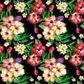 Tropical floral pattern on a black. Watercolor painted flowers plumeria. Royalty Free Stock Photo