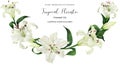 Tropical floral watercolor arc with oriental white lilies