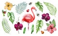 Tropical floral watercolor set with flamingo bird. Summer colorful wildlife watercolor set. Hand drawn exotic flower