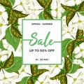 Tropical flower background texture. Spring Summer Sale banner template design. Big sale special offer. Special offer banner for Royalty Free Stock Photo