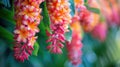 Tropical Flower Garlands for Hawaiian Lei Day: A Close-up of Symbolic Traditional Hawaiian Culture and Tradition