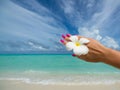 Tropical flower Plumeria on the beach. Sea background. Concept t Royalty Free Stock Photo