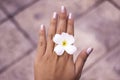 Tropical flower Plumeria in woman hands on concrete floor Royalty Free Stock Photo