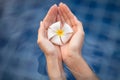 Tropical flower plumeria in woman hands Royalty Free Stock Photo