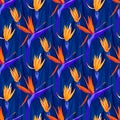 Tropical flower seamless pattern with modern yellow, orange color strelitzia, on blue leaves background Royalty Free Stock Photo
