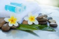 Tropical flower with towel, bottles for spa and stones Royalty Free Stock Photo