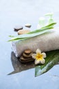 Tropical flower, towel and cream tube. Body care and spa concept Royalty Free Stock Photo