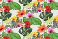 Tropical flower vector pattern, repeating floral and leaves of orchids, Hibiscus flowers, wild orchids Royalty Free Stock Photo