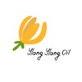 Tropical flower - ylang-ylang Cananga. Hand drawn element for print and web. Vector illustration