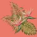 Tropical flowers strelizia and palm leaves composition