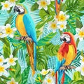 Tropical Flowers and Birds Background - Vintage Seamless Pattern Royalty Free Stock Photo