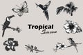 Tropical flowers, birds and leaves photocopy effect set with grunge stippling grain messy texture Royalty Free Stock Photo