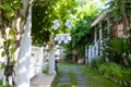 Tropical flowers on a blurred background of garden and summer house Royalty Free Stock Photo