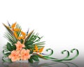 Tropical Flowers Border elegant