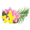 Tropical flowers floral arrangement, with Orchid cymbidium pink and yellow palm ficus on a white background vintage vector edit