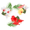 Tropical flowers floral arrangement, with white red various hibiscus and ficus and palm set watercolor on a white background